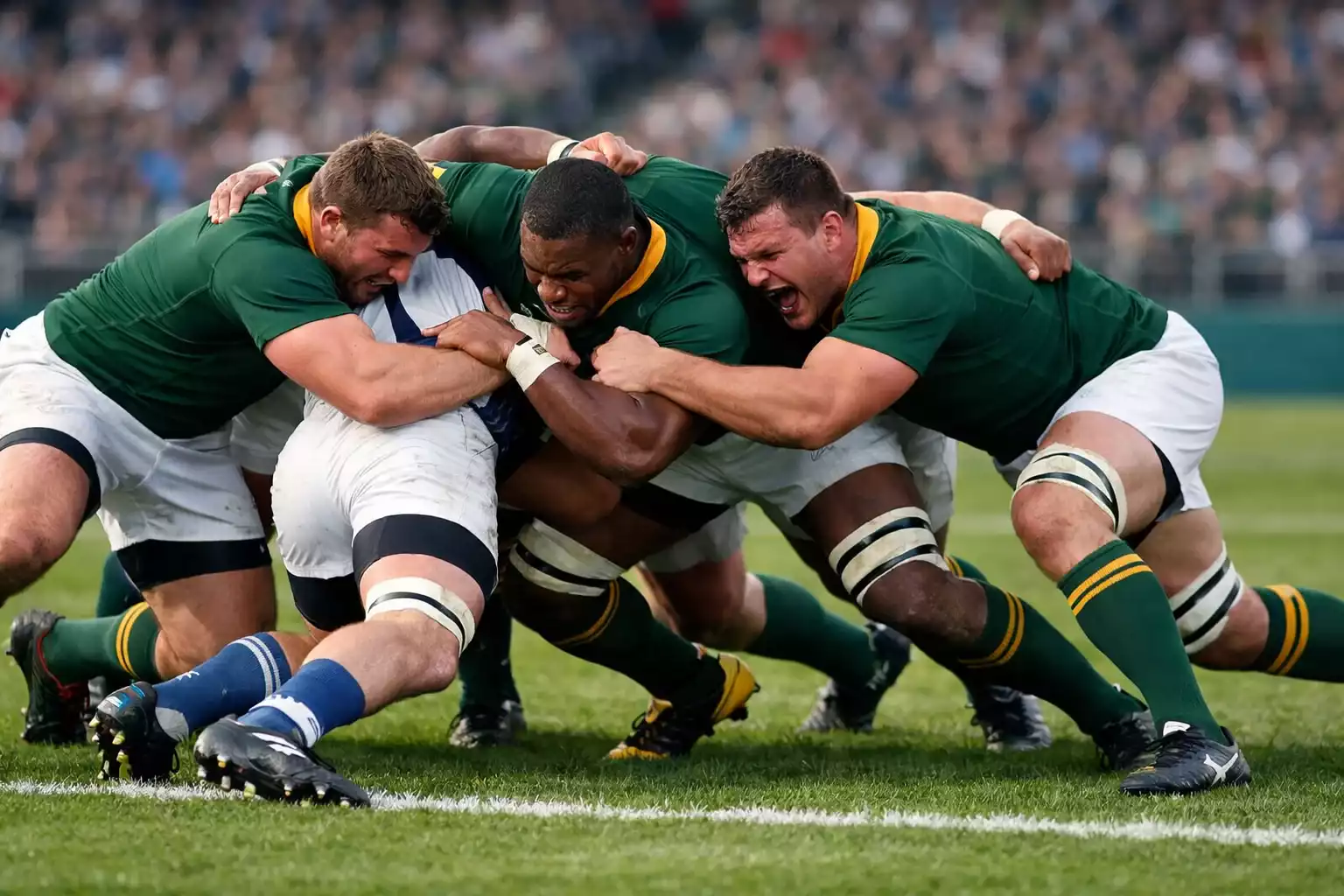 South Africa Springboks rugby team in green jerseys during match